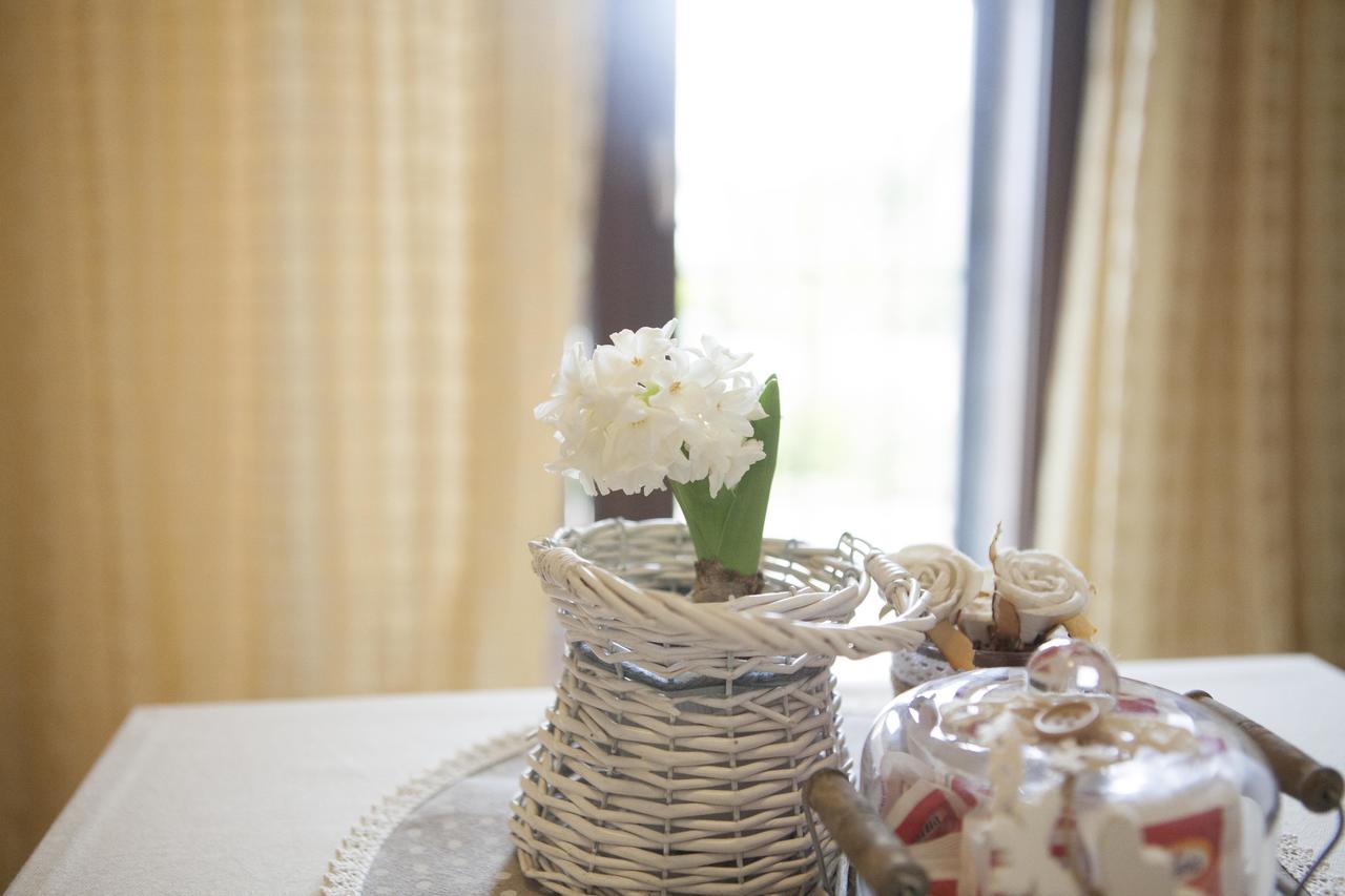 B&B La Gioiosa Assisi Eksteriør bilde