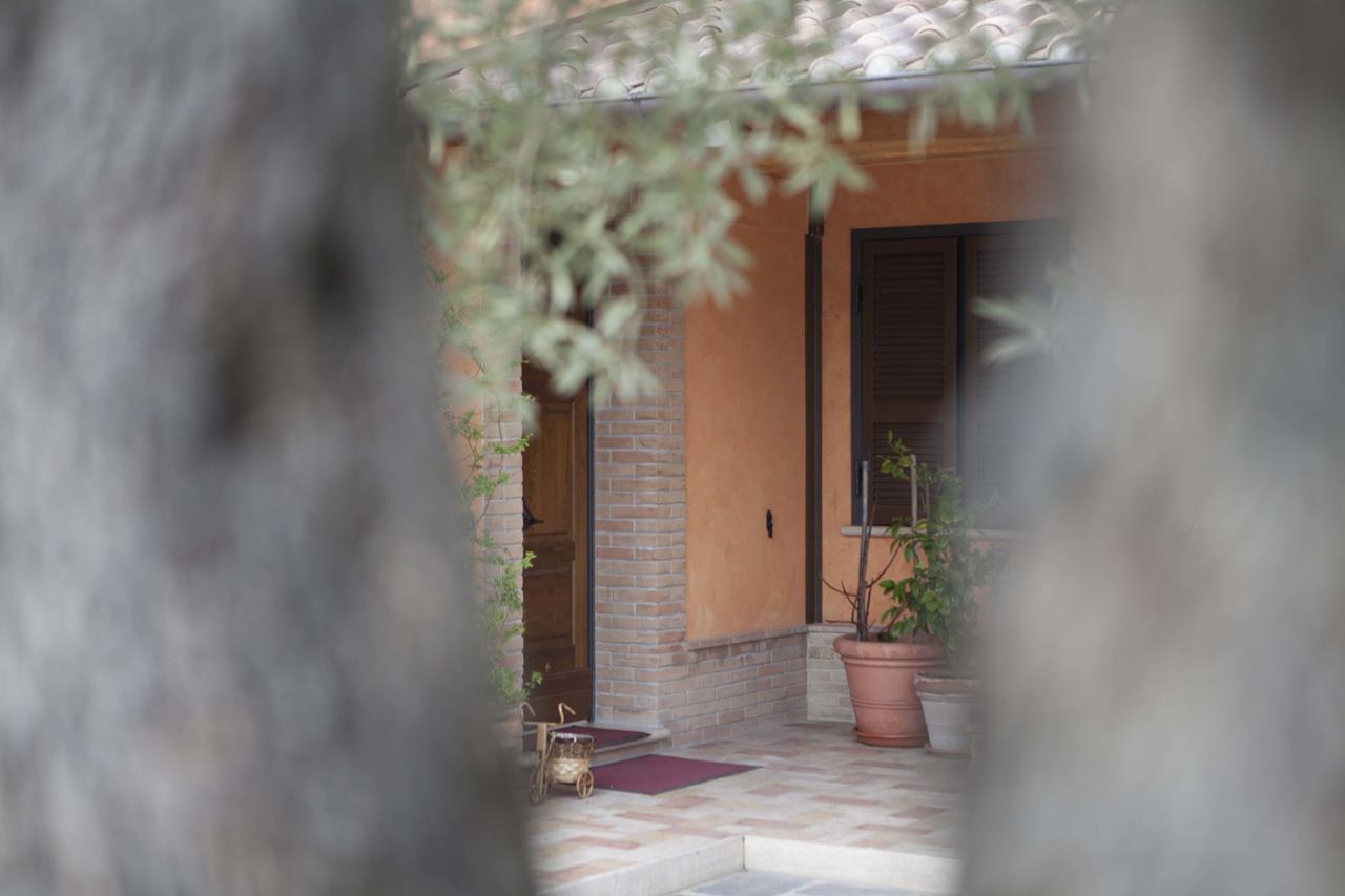 B&B La Gioiosa Assisi Eksteriør bilde