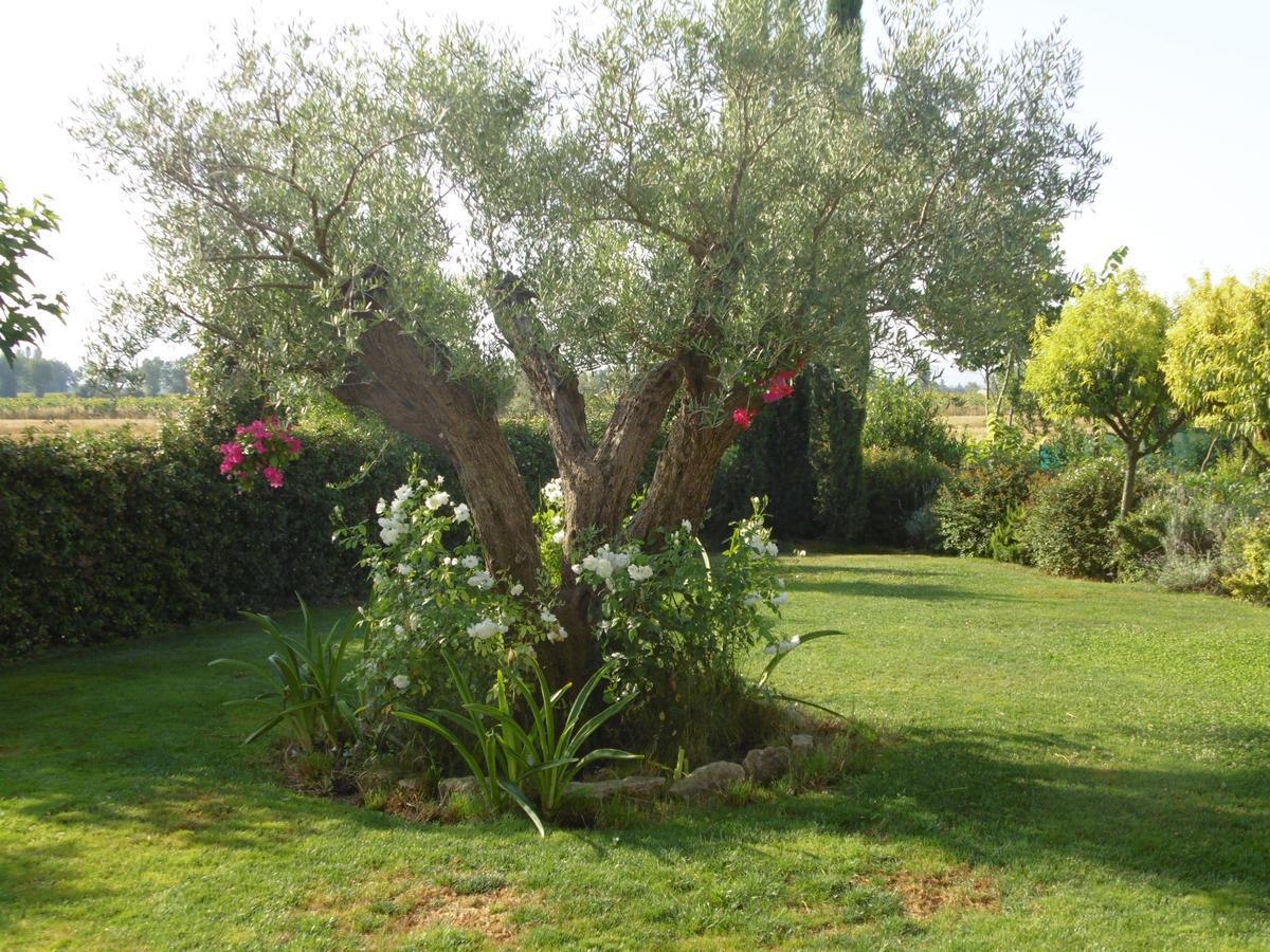 B&B La Gioiosa Assisi Eksteriør bilde