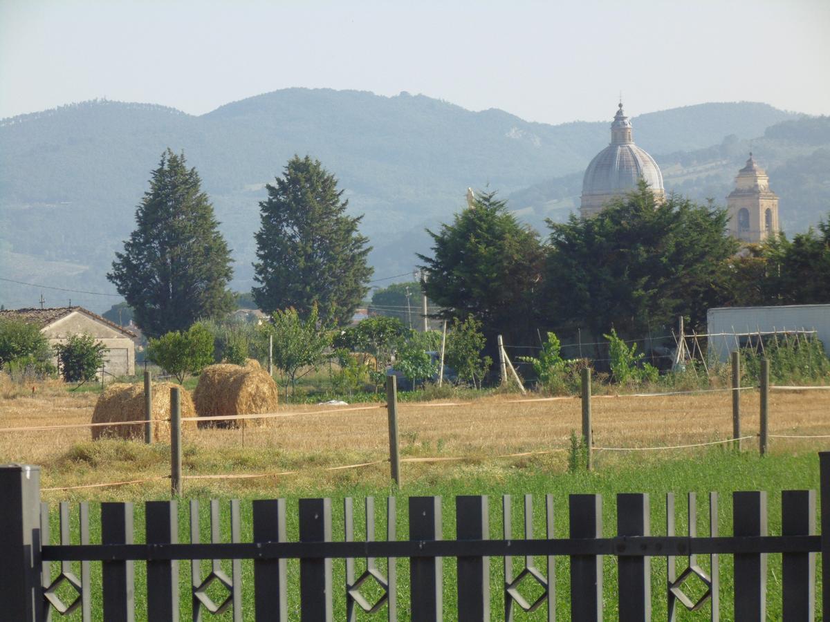B&B La Gioiosa Assisi Eksteriør bilde