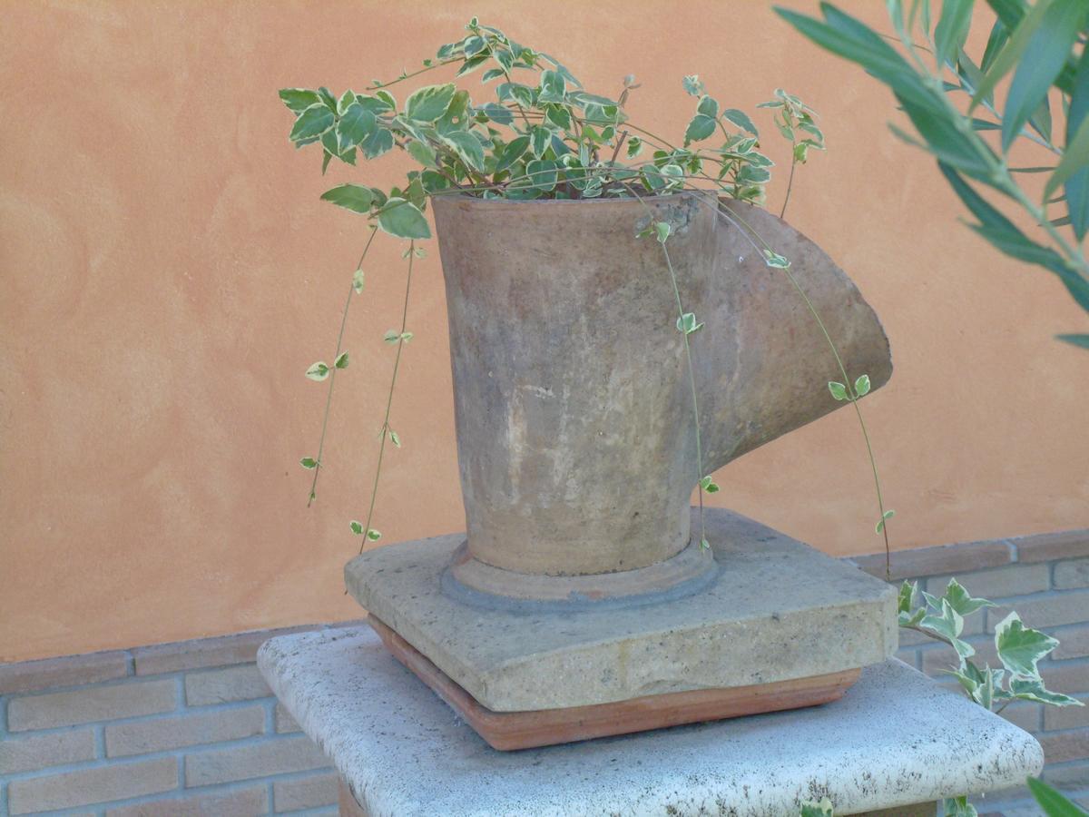 B&B La Gioiosa Assisi Eksteriør bilde