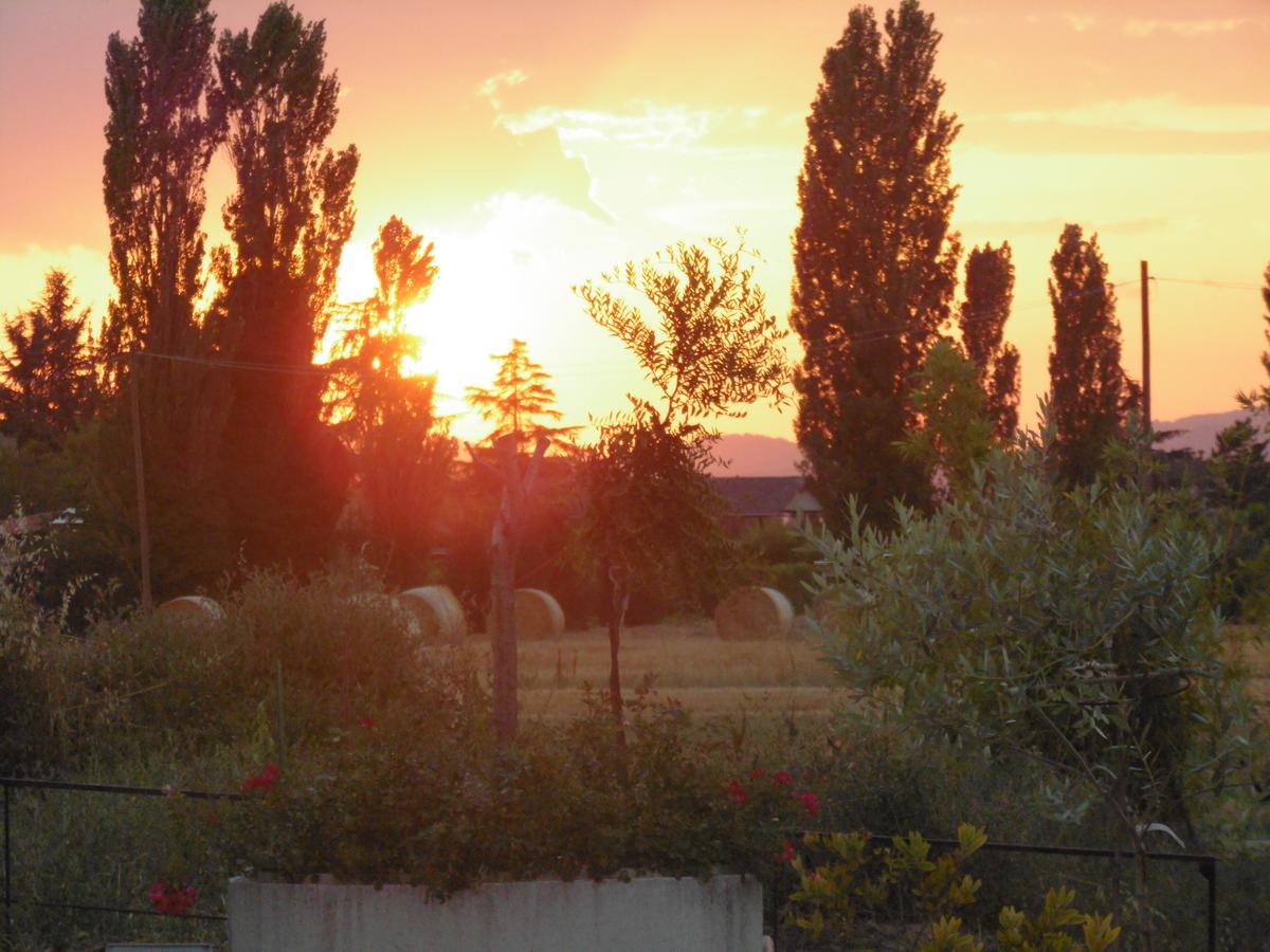 B&B La Gioiosa Assisi Eksteriør bilde